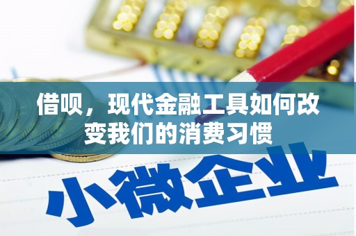 盘龙借呗，现代金融工具如何改变我们的消费习惯