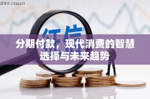盘龙分期付款，现代消费的智慧选择与未来趋势