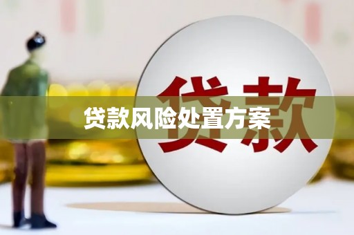 盘龙贷款风险处置方案