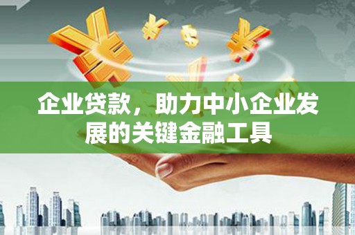 盘龙企业贷款，助力中小企业发展的关键金融工具