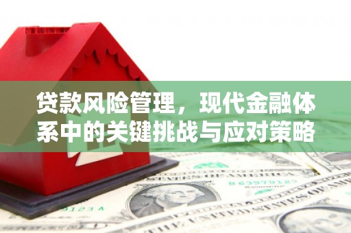盘龙贷款风险管理，现代金融体系中的关键挑战与应对策略