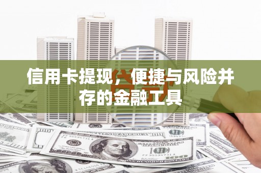 盘龙信用卡提现，便捷与风险并存的金融工具