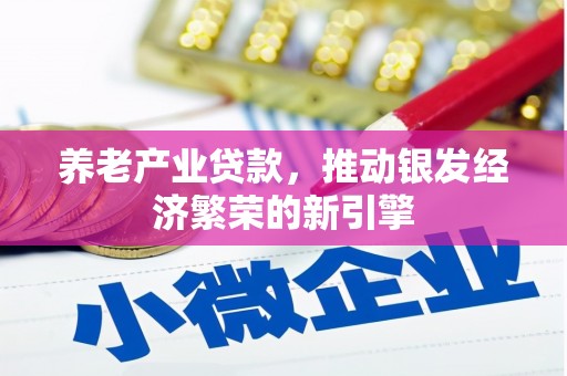 盘龙养老产业贷款，推动银发经济繁荣的新引擎