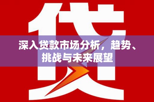 盘龙深入贷款市场分析，趋势、挑战与未来展望