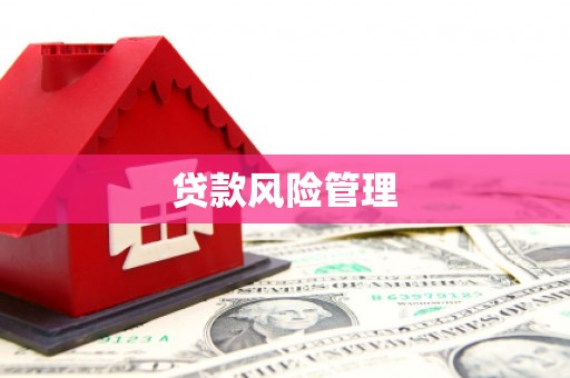 盘龙贷款风险管理