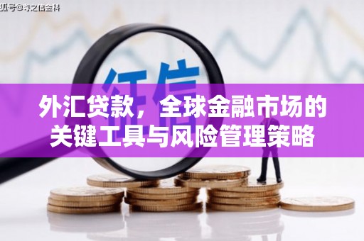 盘龙外汇贷款，全球金融市场的关键工具与风险管理策略