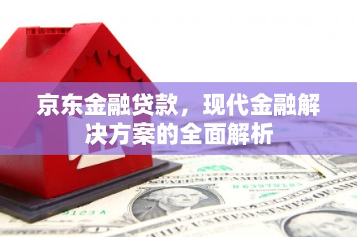 盘龙京东金融贷款，现代金融解决方案的全面解析