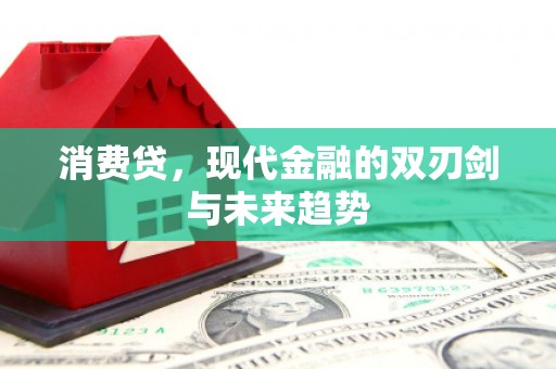 盘龙消费贷，现代金融的双刃剑与未来趋势
