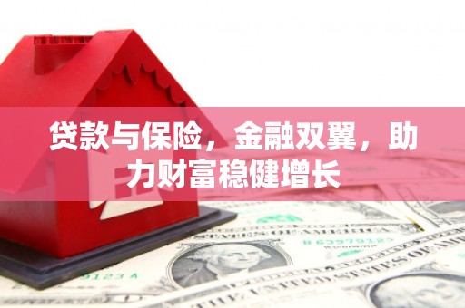 盘龙贷款与保险，金融双翼，助力财富稳健增长
