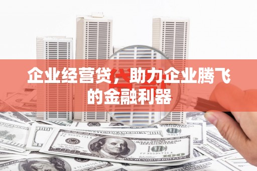 盘龙企业经营贷，助力企业腾飞的金融利器