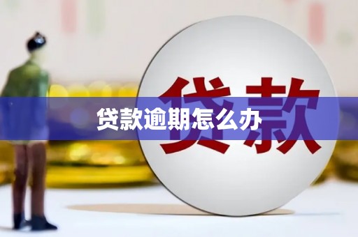 盘龙贷款逾期怎么办