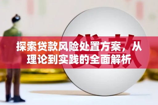 盘龙探索贷款风险处置方案，从理论到实践的全面解析