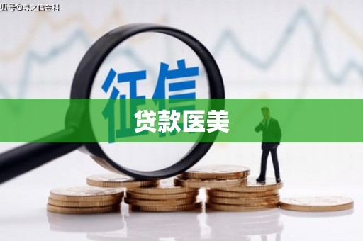 盘龙贷款医美