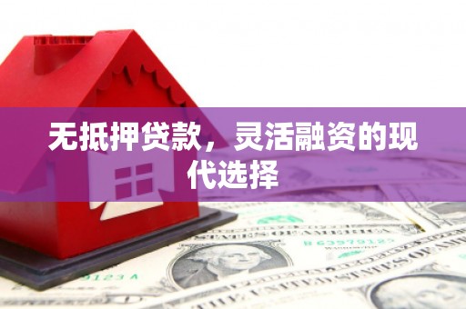 盘龙无抵押贷款，灵活融资的现代选择