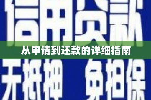 盘龙从申请到还款的详细指南
