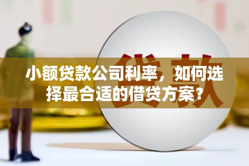 盘龙小额贷款公司利率，如何选择最合适的借贷方案？