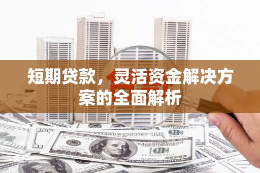 盘龙短期贷款，灵活资金解决方案的全面解析