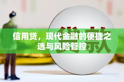 盘龙信用贷，现代金融的便捷之选与风险管控