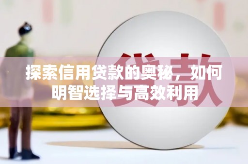 盘龙探索信用贷款的奥秘，如何明智选择与高效利用