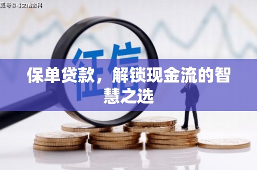 盘龙保单贷款，解锁现金流的智慧之选