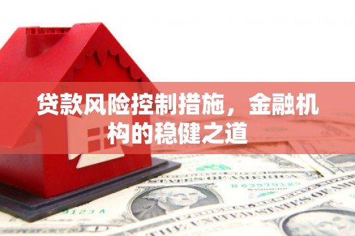 盘龙贷款风险控制措施，金融机构的稳健之道