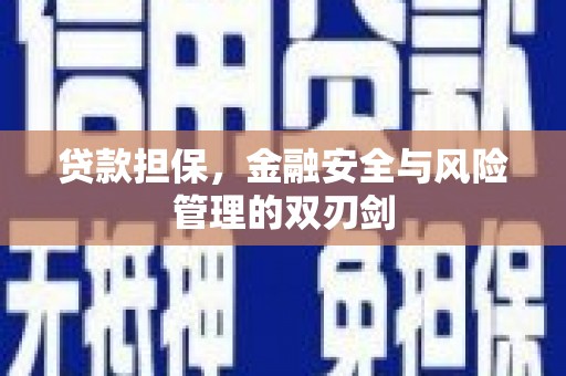 盘龙贷款担保，金融安全与风险管理的双刃剑
