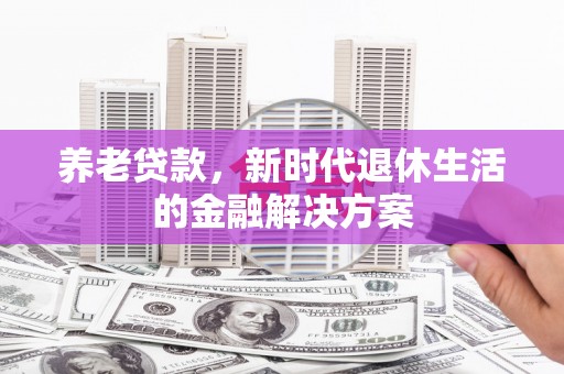 盘龙养老贷款，新时代退休生活的金融解决方案