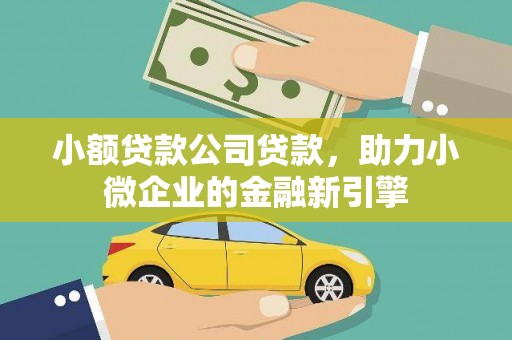 盘龙小额贷款公司贷款，助力小微企业的金融新引擎