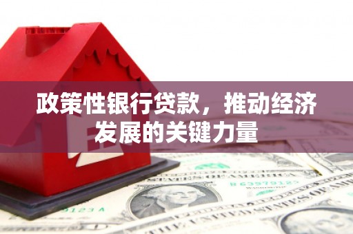 盘龙政策性银行贷款，推动经济发展的关键力量