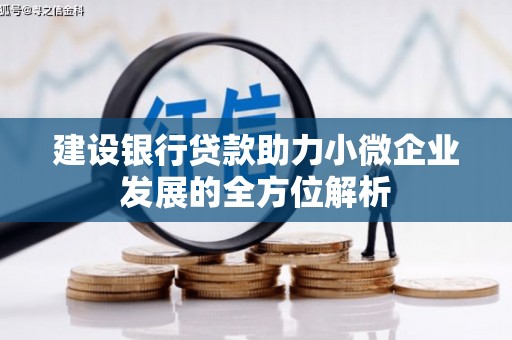 盘龙建设银行贷款助力小微企业发展的全方位解析