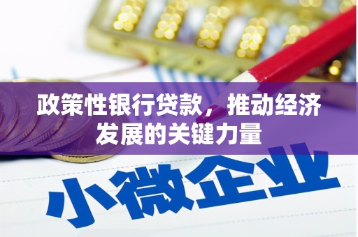 盘龙政策性银行贷款，推动经济发展的关键力量