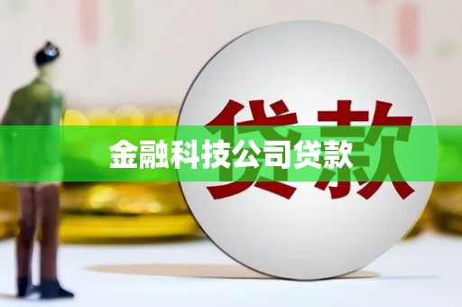 盘龙金融科技公司贷款