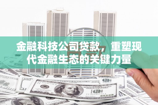 盘龙金融科技公司贷款，重塑现代金融生态的关键力量
