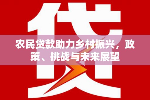 盘龙农民贷款助力乡村振兴，政策、挑战与未来展望