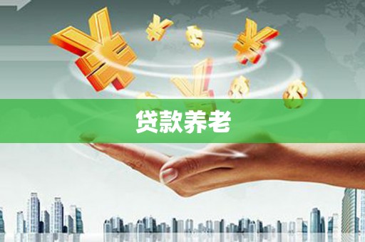 盘龙贷款养老