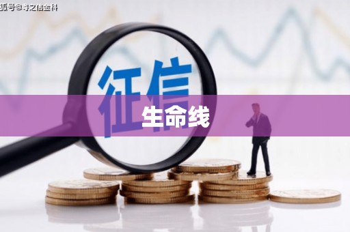 盘龙生命线