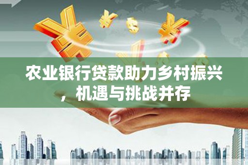 盘龙农业银行贷款助力乡村振兴，机遇与挑战并存