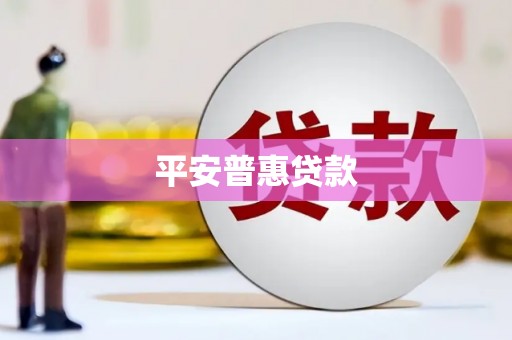 盘龙平安普惠贷款