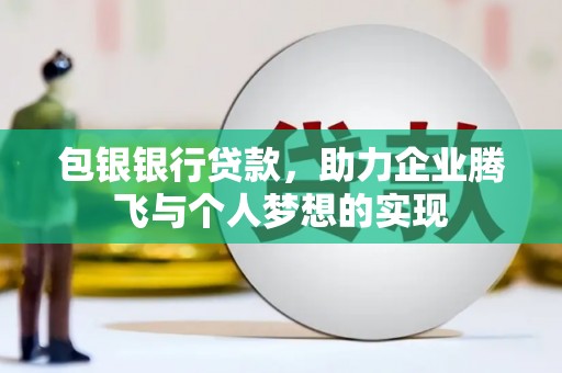 盘龙包银银行贷款，助力企业腾飞与个人梦想的实现