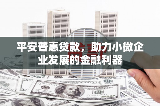 盘龙平安普惠贷款，助力小微企业发展的金融利器