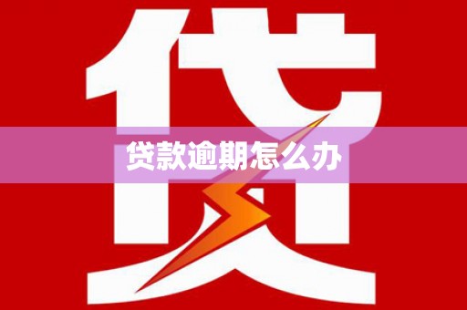 盘龙贷款逾期怎么办