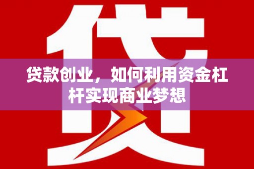 盘龙贷款创业，如何利用资金杠杆实现商业梦想