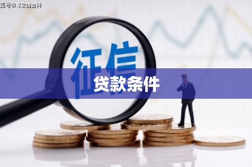 盘龙贷款条件