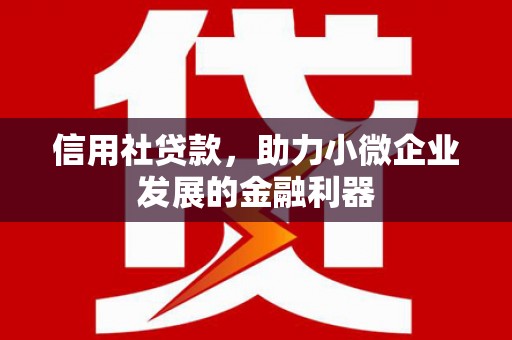 盘龙信用社贷款，助力小微企业发展的金融利器
