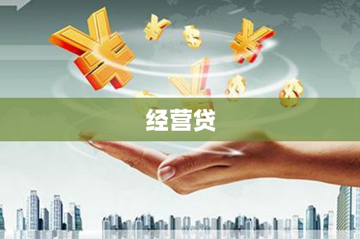 盘龙经营贷