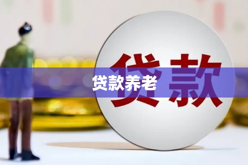 盘龙贷款养老