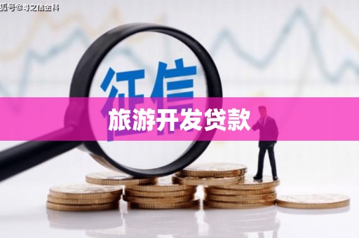 盘龙旅游开发贷款