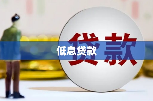 盘龙低息贷款