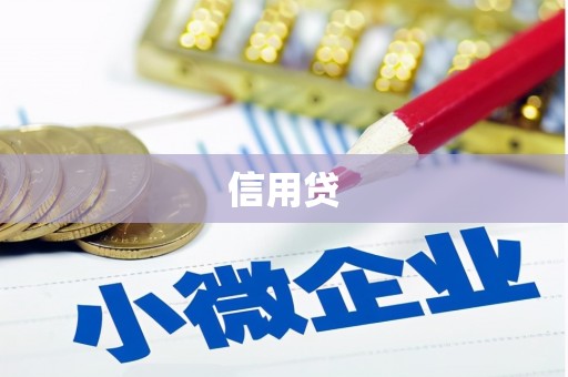 盘龙信用贷