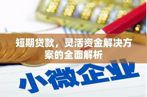 盘龙短期贷款，灵活资金解决方案的全面解析